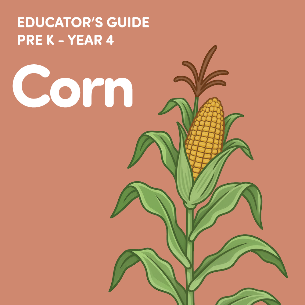 US Teacher's Guides