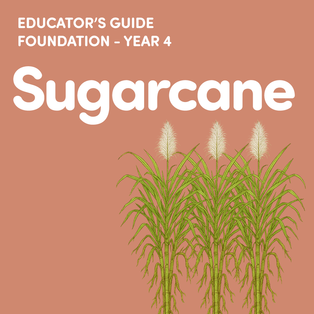 Sugarcane